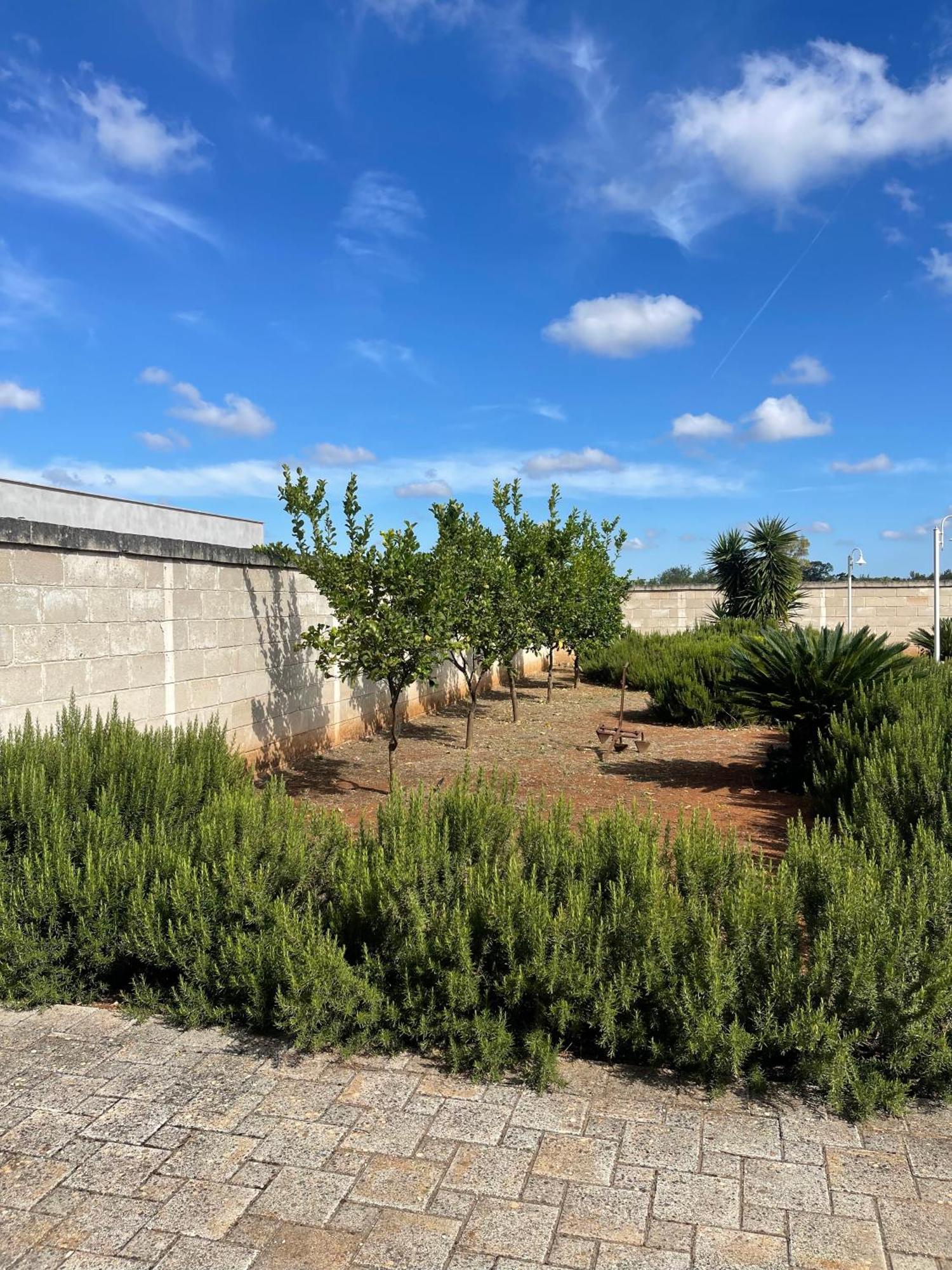 Masseria Don Bonifacio Castellana Grotte Kültér fotó